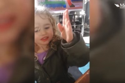 Bee ‘waves’ at girl, 3, who saved it with sugar and water !