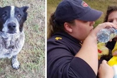 Deaf 17-Year Old Dog Became A Hero After Saving A Missing Child By Leading Cops To Her Location