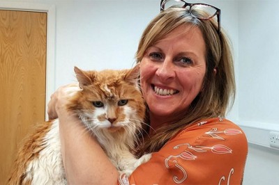 When The Owner Got Her Cat In 1988, She Had No Idea That 30 Years Later She Would Be Celebrating His Birthday!